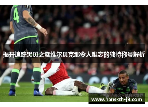 揭开追踪黑贝之谜维尔贝克那令人难忘的独特称号解析