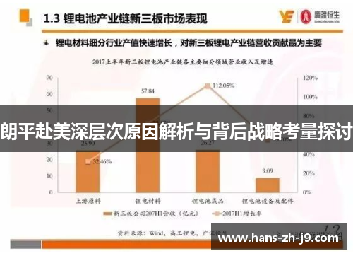 朗平赴美深层次原因解析与背后战略考量探讨