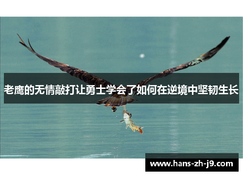 老鹰的无情敲打让勇士学会了如何在逆境中坚韧生长