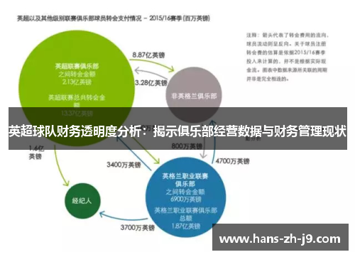英超球队财务透明度分析:揭示俱乐部经营数据与财务管理现状 英超球队财务透明度分析:揭示俱乐部经营数据与财务管理现状