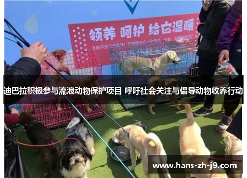 迪巴拉积极参与流浪动物保护项目 呼吁社会关注与倡导动物收养行动 迪巴拉积极参与流浪动物保护项目 呼吁社会关注与倡导动物收养行动