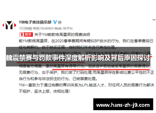 魏震禁赛与罚款事件深度解析影响及背后原因探讨